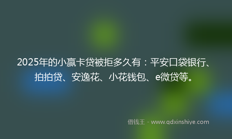 2025年的小赢卡贷被拒多久有：平安口袋银行、拍拍贷、安逸花、小花钱包、e微贷等。