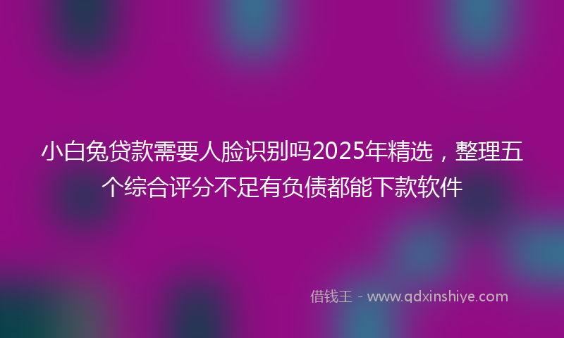 小白兔贷款需要人脸识别吗2025年精选，整理五个综合评分不足有负债都能下款软件