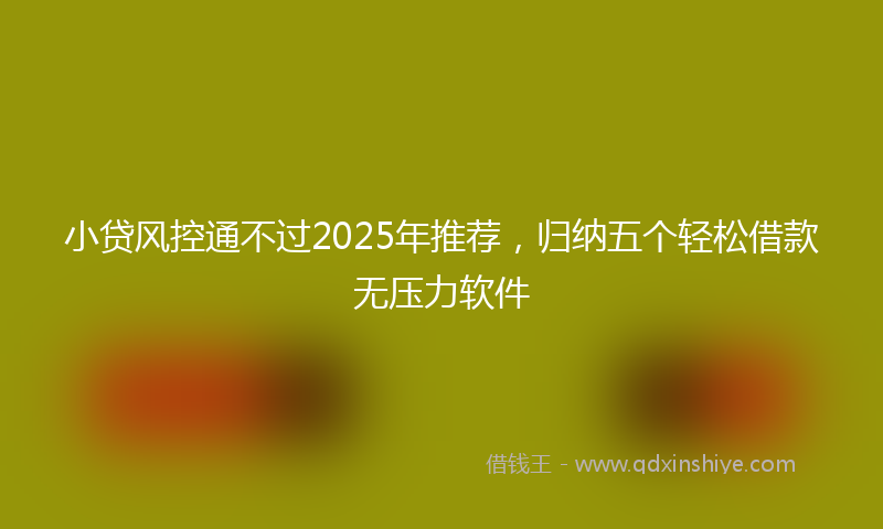 小贷风控通不过2025年推荐，归纳五个轻松借款无压力软件