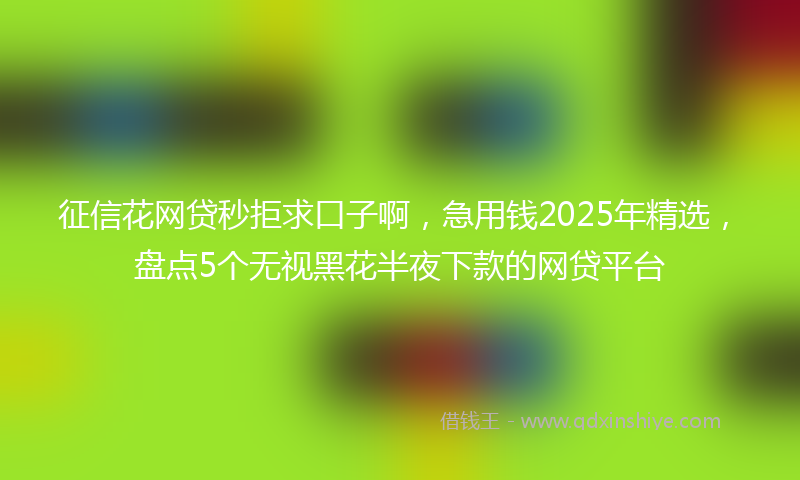 征信花网贷秒拒求口子啊，急用钱2025年精选，盘点5个无视黑花半夜下款的网贷平台