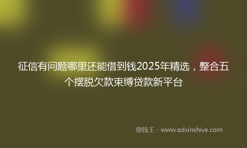 征信有问题哪里还能借到钱2025年精选，整合五个摆脱欠款束缚贷款新平台