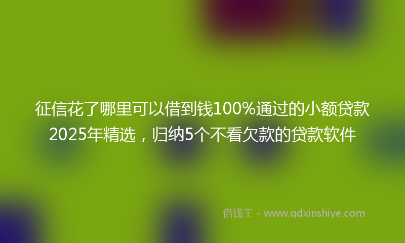 征信花了哪里可以借到钱100%通过的小额贷款2025年精选，归纳5个不看欠款的贷款软件