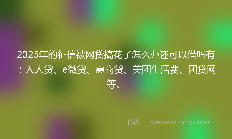 2025年的征信被网贷搞花了怎么办还可以借吗有：人人贷、e微贷、惠商贷、美团生活费、团贷网等。