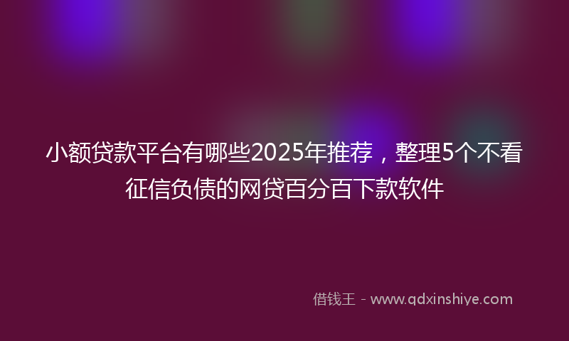 小额贷款平台有哪些2025年推荐，整理5个不看征信负债的网贷百分百下款软件