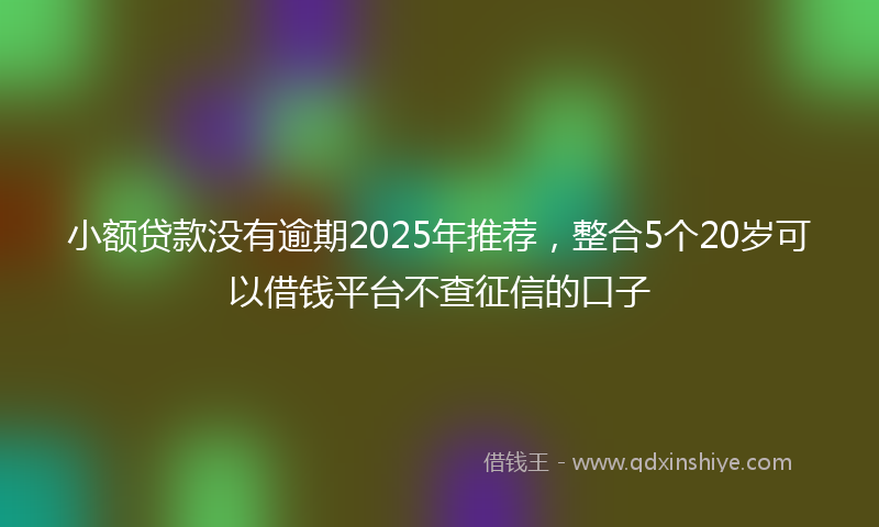 小额贷款没有逾期2025年推荐，整合5个20岁可以借钱平台不查征信的口子