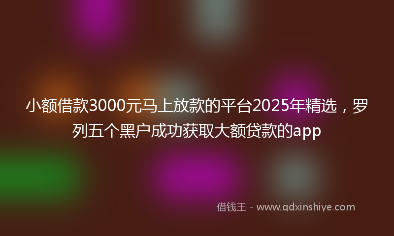 小额借款3000元马上放款的平台2025年精选，罗列五个黑户成功获取大额贷款的app
