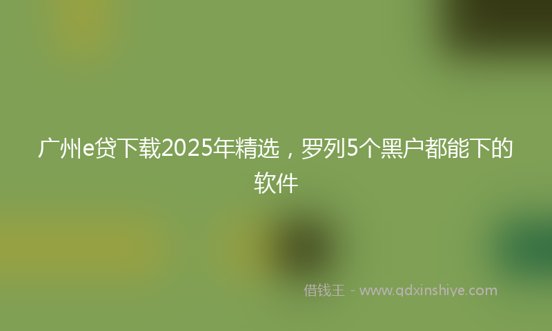 广州e贷下载2025年精选，罗列5个黑户都能下的软件