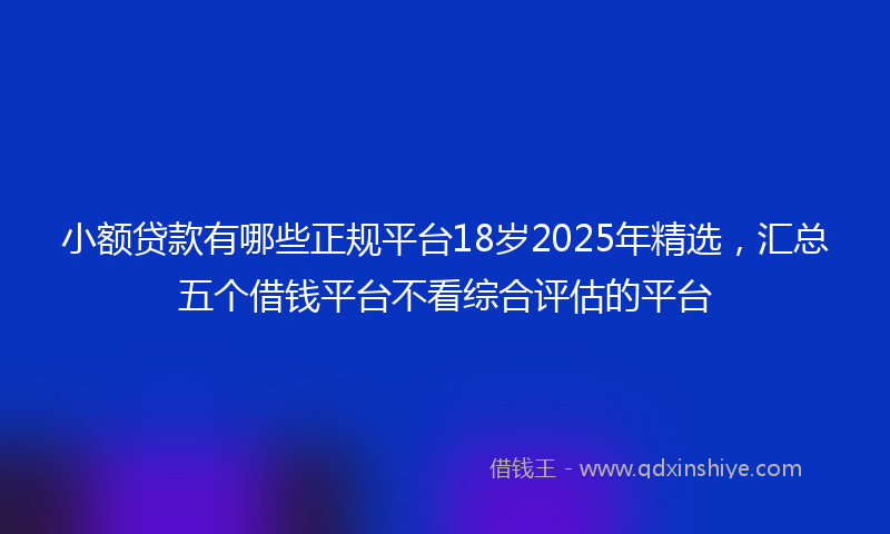 小额贷款有哪些正规平台18岁2025年精选，汇总五个借钱平台不看综合评估的平台