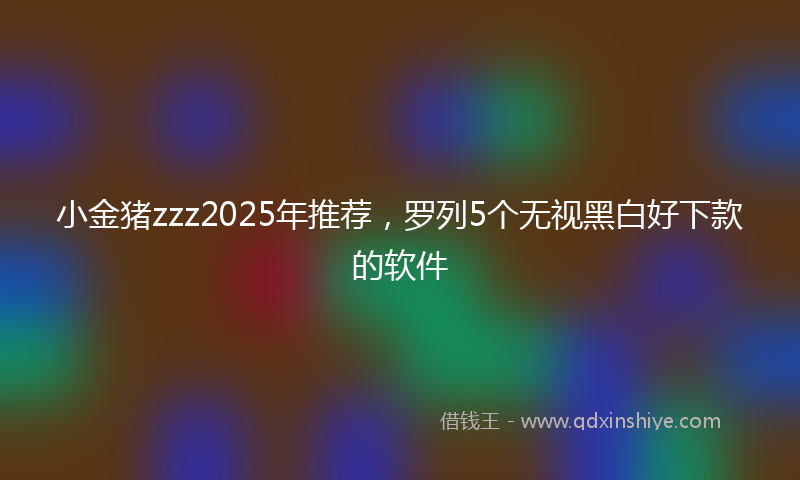 小金猪zzz2025年推荐，罗列5个无视黑白好下款的软件