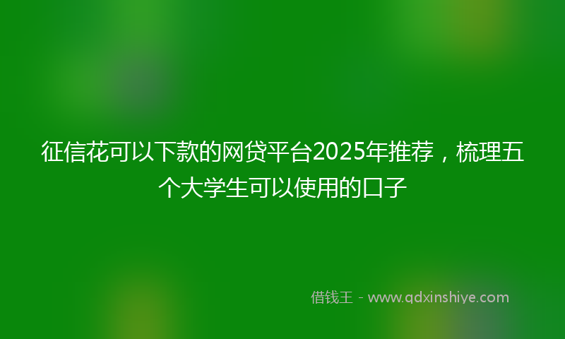征信花可以下款的网贷平台2025年推荐，梳理五个大学生可以使用的口子