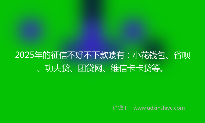 2025年的征信不好不下款喽有：小花钱包、省呗、功夫贷、团贷网、维信卡卡贷等。
