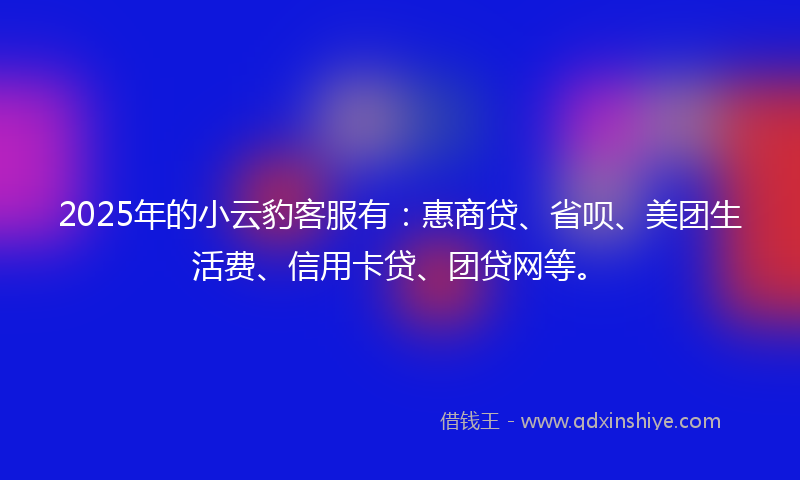 2025年的小云豹客服有：惠商贷、省呗、美团生活费、信用卡贷、团贷网等。