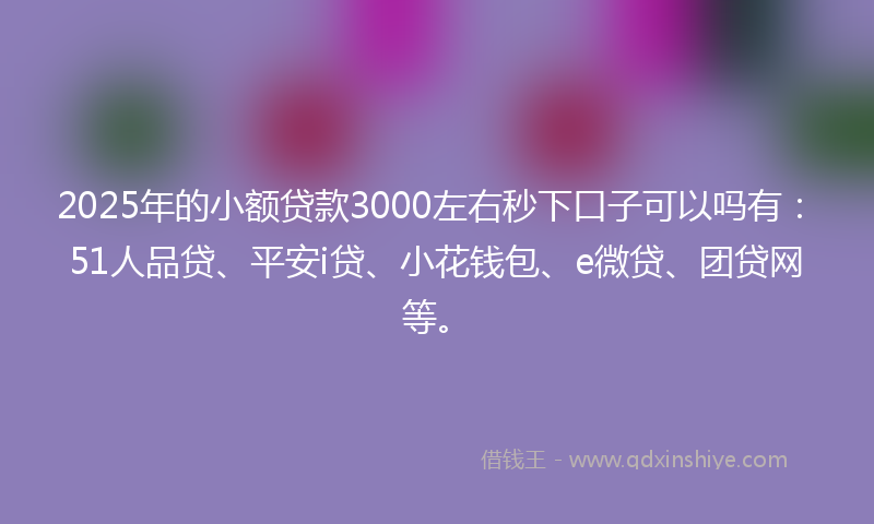 2025年的小额贷款3000左右秒下口子可以吗有：51人品贷、平安i贷、小花钱包、e微贷、团贷网等。