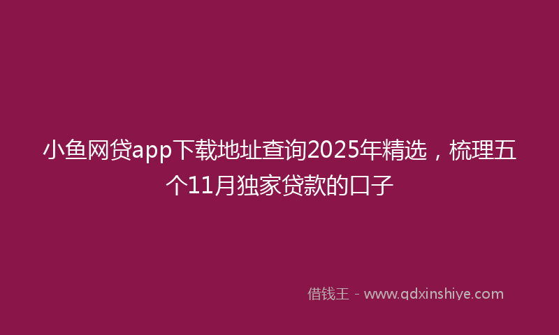 小鱼网贷app下载地址查询2025年精选，梳理五个11月独家贷款的口子