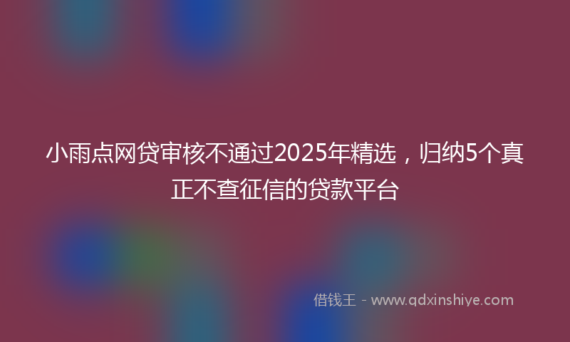 小雨点网贷审核不通过2025年精选，归纳5个真正不查征信的贷款平台