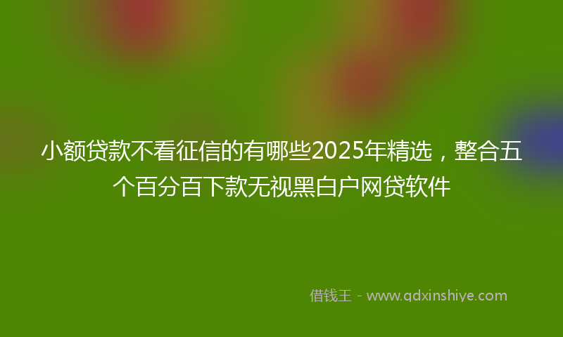 小额贷款不看征信的有哪些2025年精选，整合五个百分百下款无视黑白户网贷软件