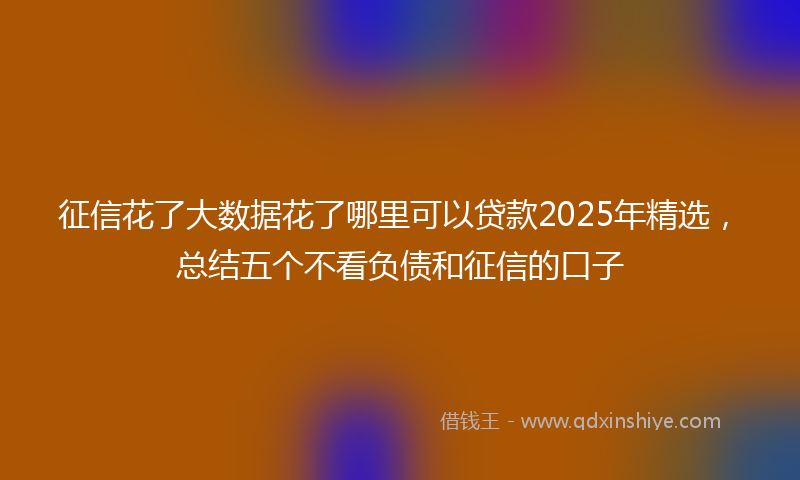 征信花了大数据花了哪里可以贷款2025年精选，总结五个不看负债和征信的口子