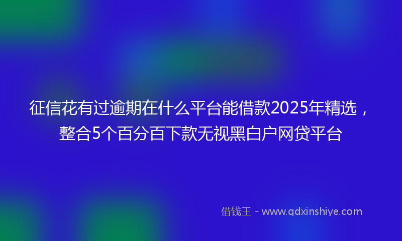 征信花有过逾期在什么平台能借款2025年精选，整合5个百分百下款无视黑白户网贷平台
