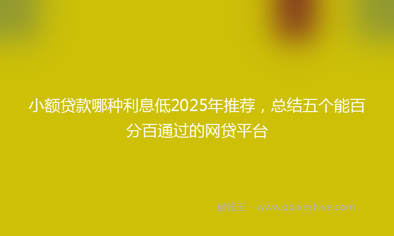 小额贷款哪种利息低2025年推荐，总结五个能百分百通过的网贷平台