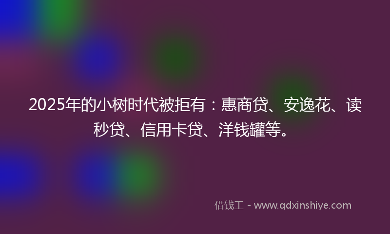 2025年的小树时代被拒有：惠商贷、安逸花、读秒贷、信用卡贷、洋钱罐等。