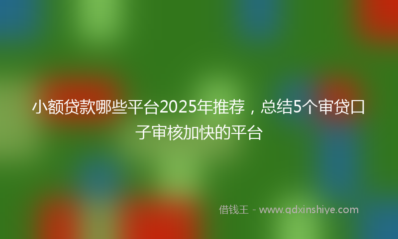 小额贷款哪些平台2025年推荐，总结5个审贷口子审核加快的平台