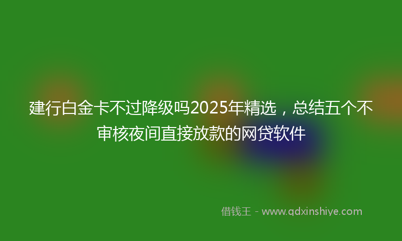 建行白金卡不过降级吗2025年精选，总结五个不审核夜间直接放款的网贷软件