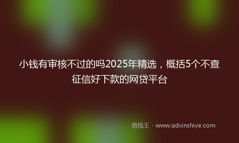 小钱有审核不过的吗2025年精选，概括5个不查征信好下款的网贷平台