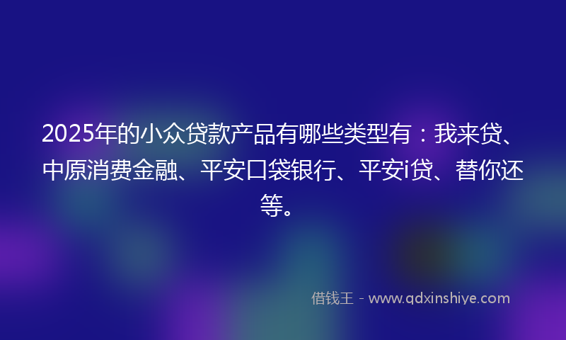 2025年的小众贷款产品有哪些类型有：我来贷、中原消费金融、平安口袋银行、平安i贷、替你还等。