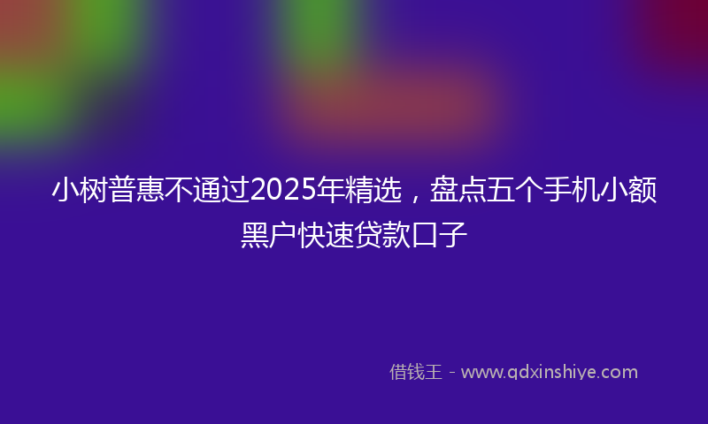 小树普惠不通过2025年精选，盘点五个手机小额黑户快速贷款口子