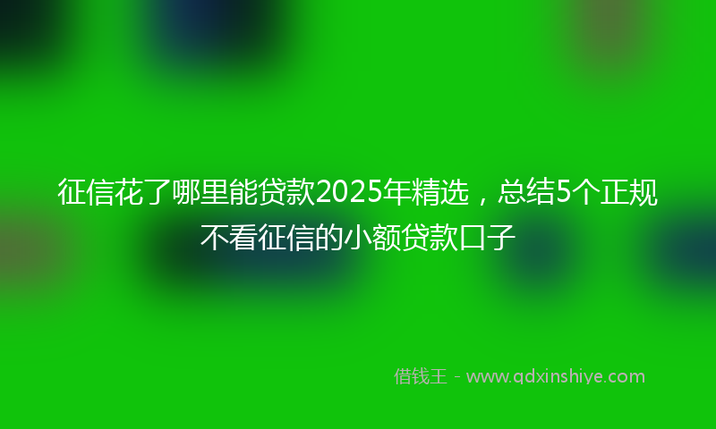 征信花了哪里能贷款2025年精选，总结5个正规不看征信的小额贷款口子