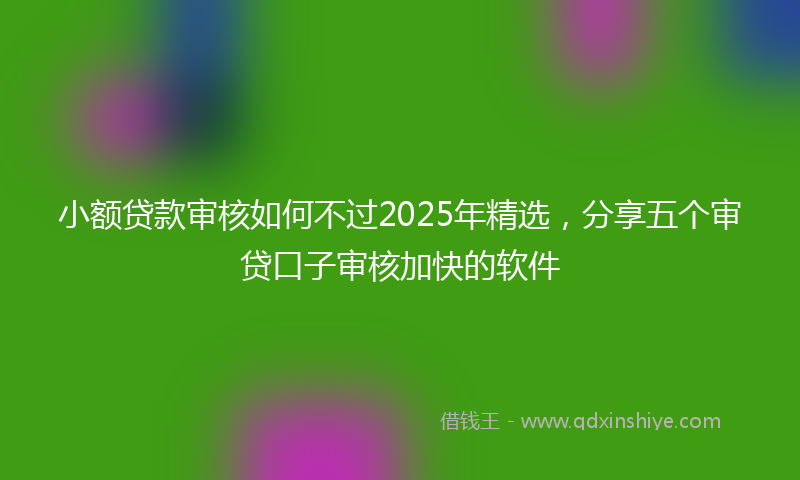 小额贷款审核如何不过2025年精选，分享五个审贷口子审核加快的软件