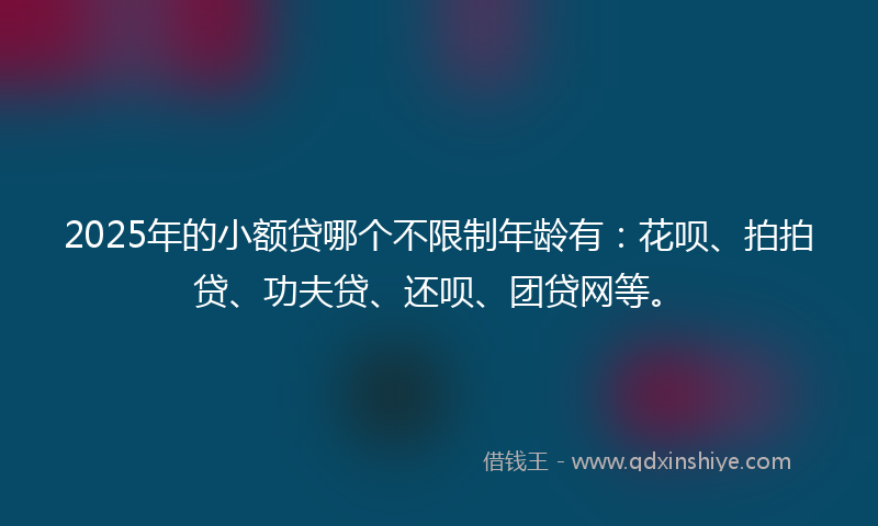 2025年的小额贷哪个不限制年龄有：花呗、拍拍贷、功夫贷、还呗、团贷网等。