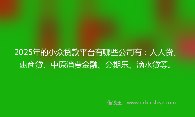 2025年的小众贷款平台有哪些公司有：人人贷、惠商贷、中原消费金融、分期乐、滴水贷等。