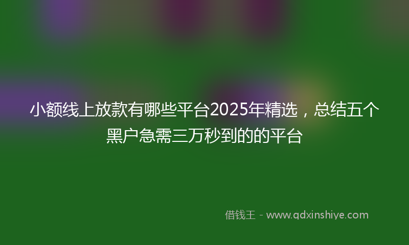 小额线上放款有哪些平台2025年精选，总结五个黑户急需三万秒到的的平台