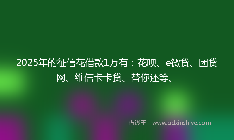 2025年的征信花借款1万有：花呗、e微贷、团贷网、维信卡卡贷、替你还等。