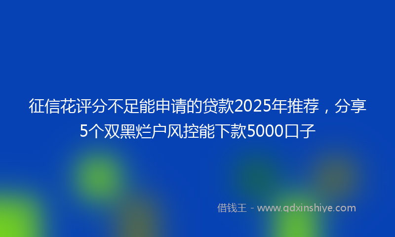征信花评分不足能申请的贷款2025年推荐，分享5个双黑烂户风控能下款5000口子