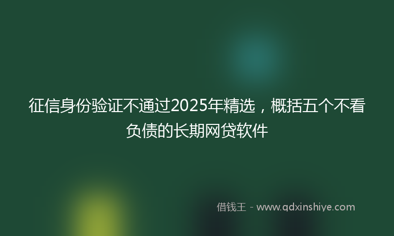 征信身份验证不通过2025年精选，概括五个不看负债的长期网贷软件