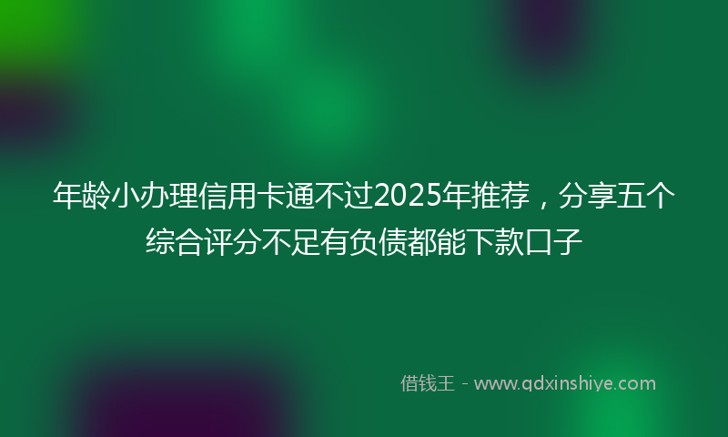 年龄小办理信用卡通不过2025年推荐，分享五个综合评分不足有负债都能下款口子