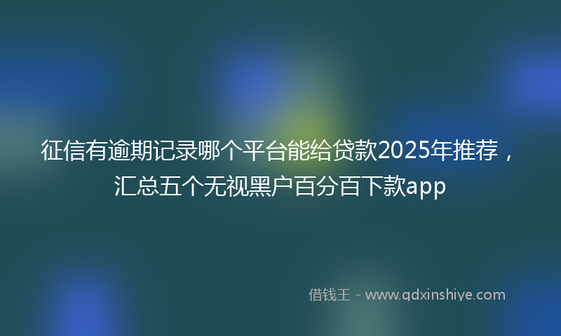 征信有逾期记录哪个平台能给贷款2025年推荐，汇总五个无视黑户百分百下款app