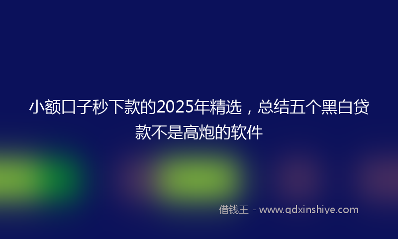 小额口子秒下款的2025年精选，总结五个黑白贷款不是高炮的软件