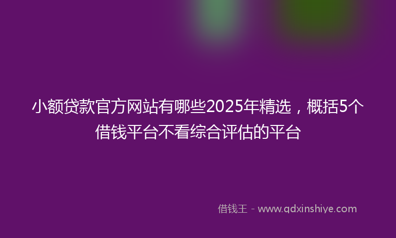 小额贷款官方网站有哪些2025年精选，概括5个借钱平台不看综合评估的平台