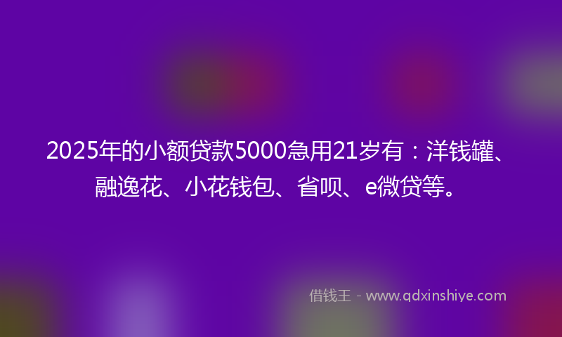 2025年的小额贷款5000急用21岁有：洋钱罐、融逸花、小花钱包、省呗、e微贷等。