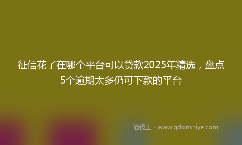 征信花了在哪个平台可以贷款2025年精选，盘点5个逾期太多仍可下款的平台