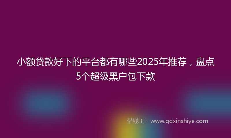 小额贷款好下的平台都有哪些2025年推荐，盘点5个超级黑户包下款