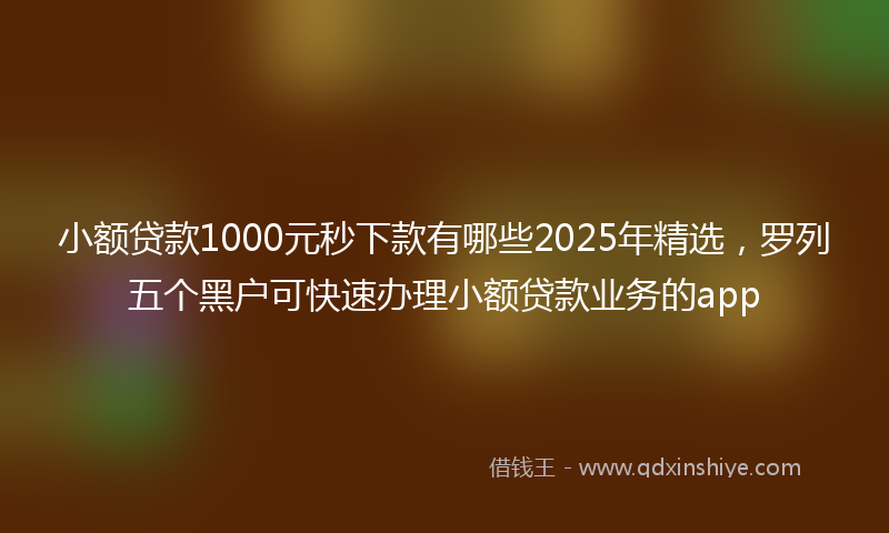 小额贷款1000元秒下款有哪些2025年精选，罗列五个黑户可快速办理小额贷款业务的app