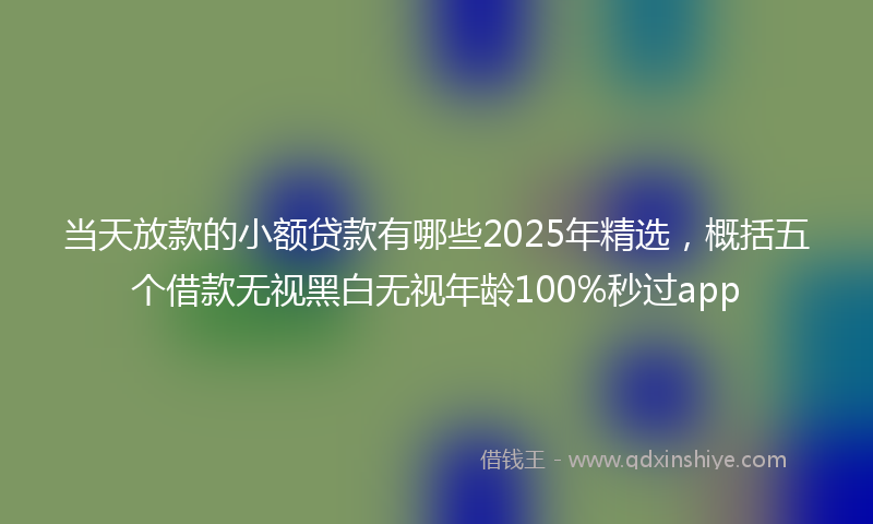 当天放款的小额贷款有哪些2025年精选，概括五个借款无视黑白无视年龄100%秒过app