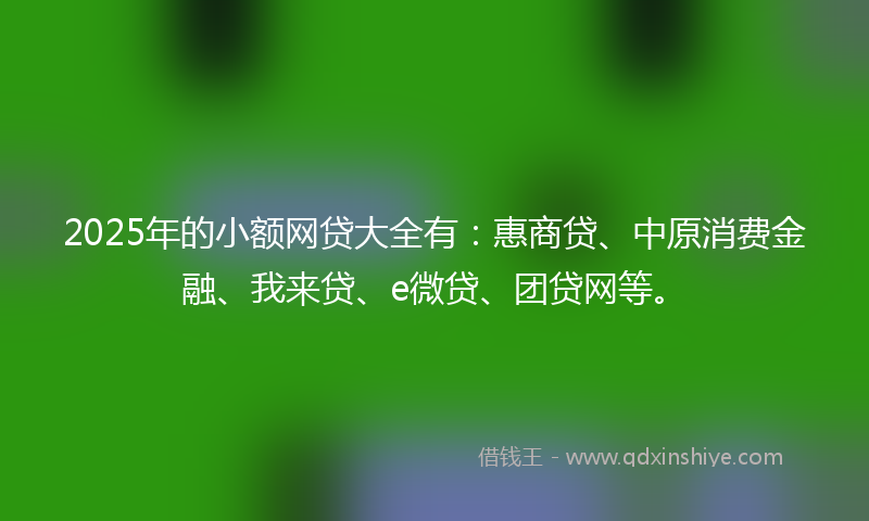 2025年的小额网贷大全有：惠商贷、中原消费金融、我来贷、e微贷、团贷网等。