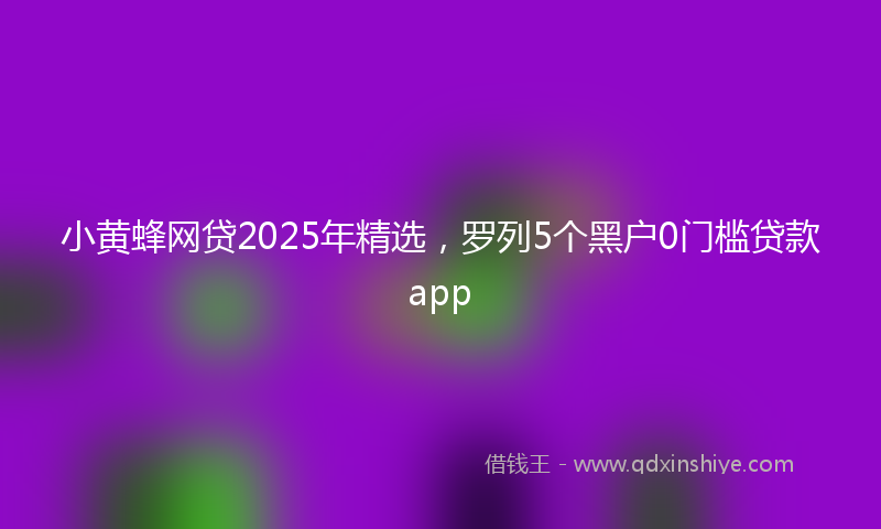 小黄蜂网贷2025年精选，罗列5个黑户0门槛贷款app