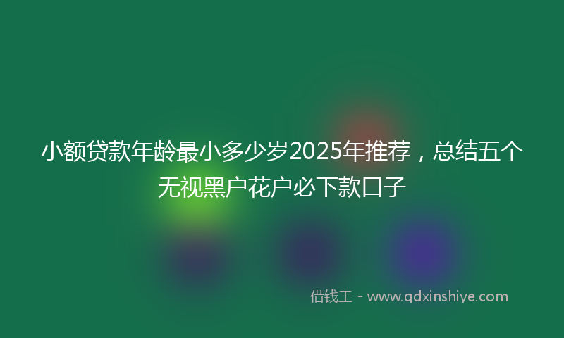 小额贷款年龄最小多少岁2025年推荐，总结五个无视黑户花户必下款口子