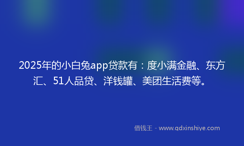 2025年的小白兔app贷款有：度小满金融、东方汇、51人品贷、洋钱罐、美团生活费等。
